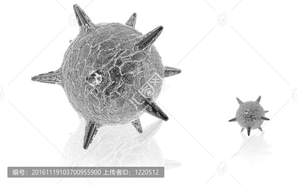 皰疹病毒