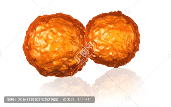 脊髓灰質(zhì)炎病毒