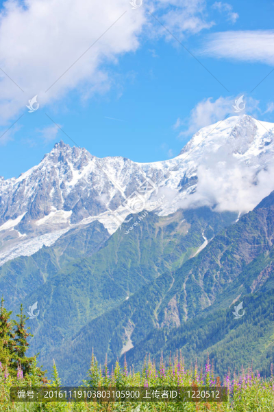 阿爾卑斯-霞慕尼