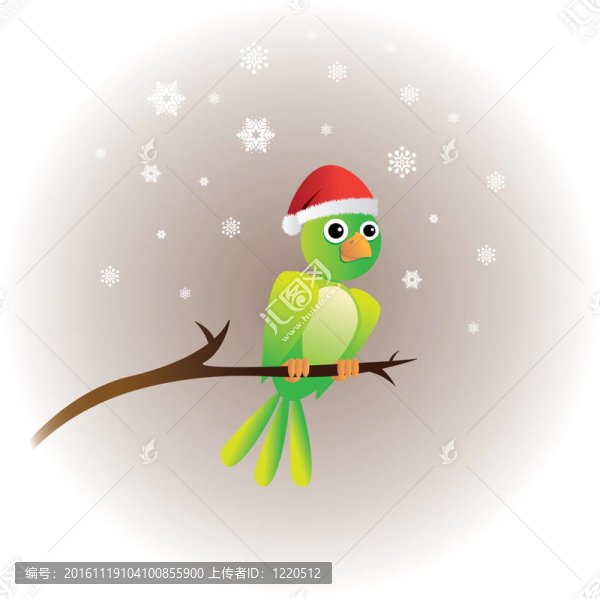 鳥在圣誕帽子樹圖