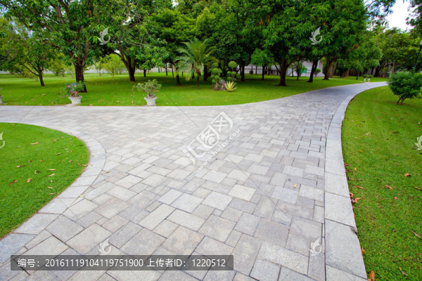 通過景觀公園的道路