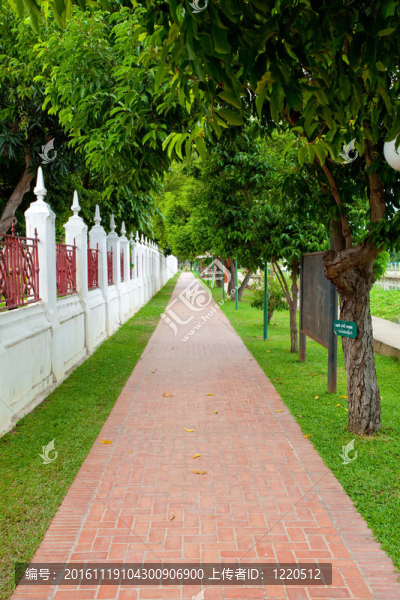 在花園走道