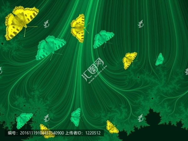 蝴蝶龜甲蝶