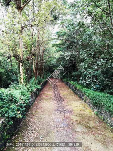 羊臺山風(fēng)景