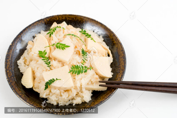 筍用稻