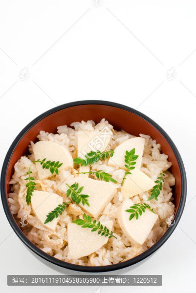 筍用稻