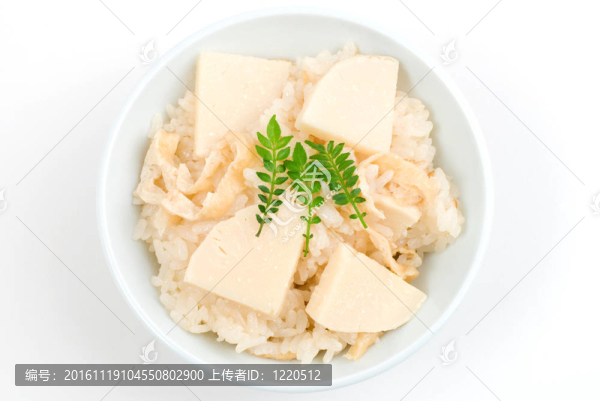 筍用稻