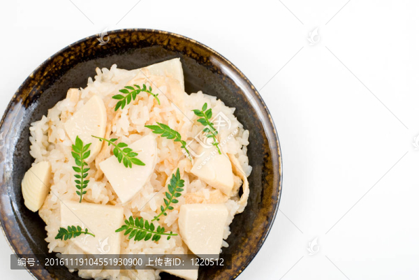 筍用稻