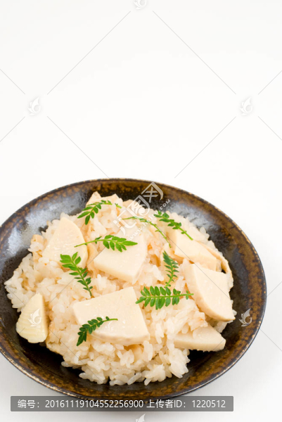 筍用稻