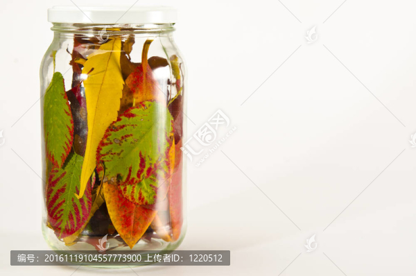 保存完好的秋天