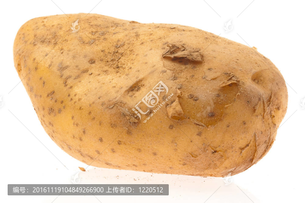 馬鈴薯