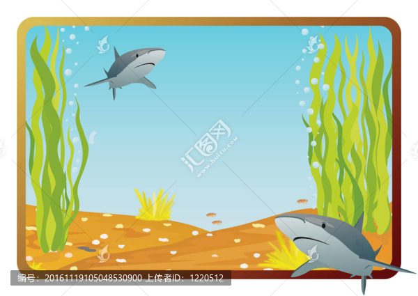 鯊魚