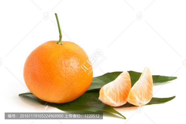 新鮮的葉子和段Tangerine夜店