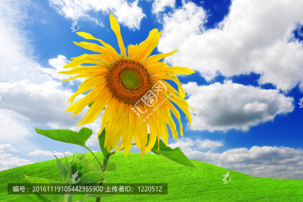 自然能源