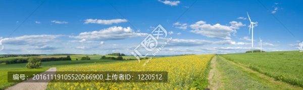 風(fēng)能
