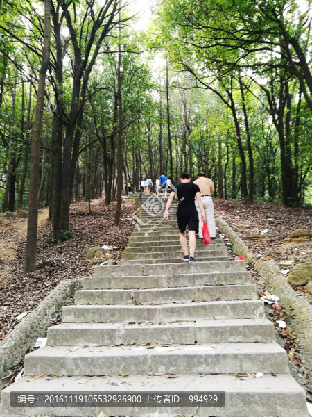 登山道