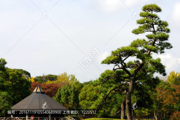 三角形的屋頂。