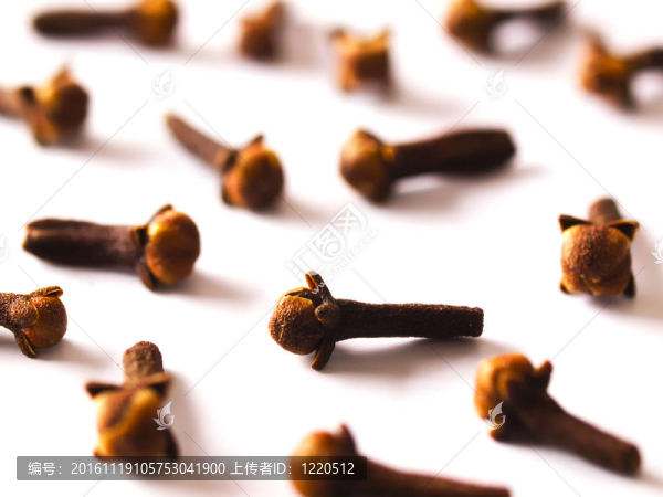 靠近丁香白-匯圖網(wǎng) www.fosd68.com 靠近丁香白