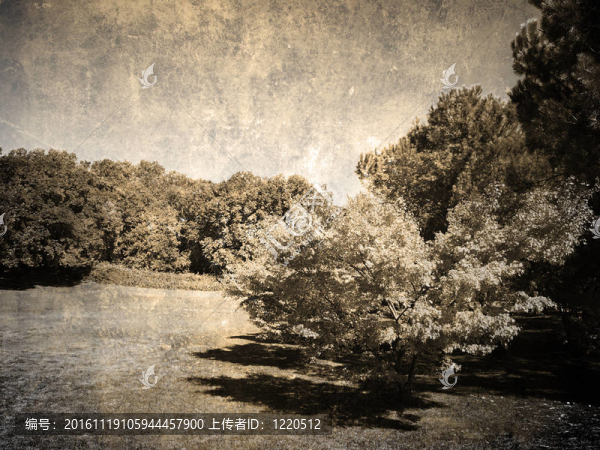 夏天的風(fēng)景-匯圖網(wǎng) www.fosd68.com 夏天的風(fēng)景