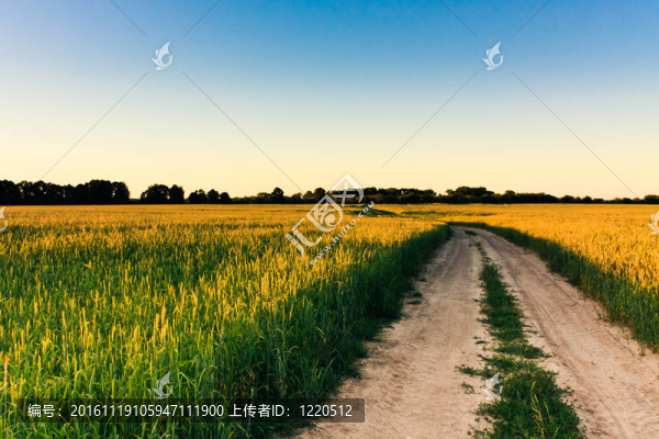 塵土飛揚(yáng)的道路