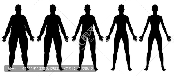 肥胖到瘦女性剪影前視圖