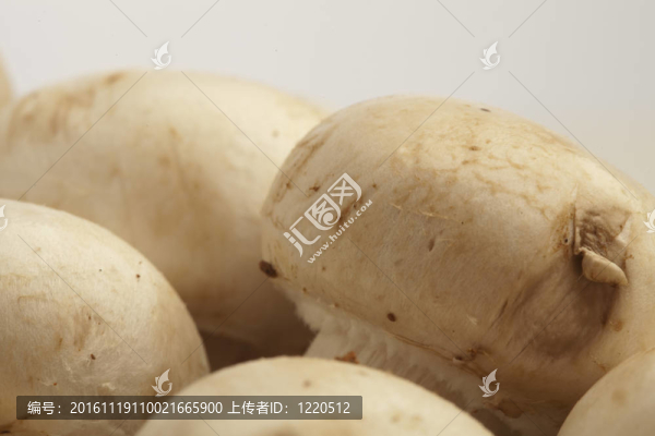 蘑菇