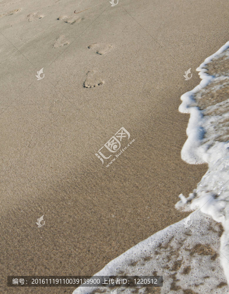 向海的腳步