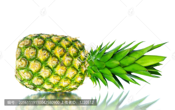 菠蘿