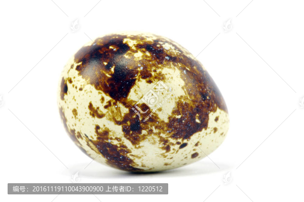 鵪鶉蛋