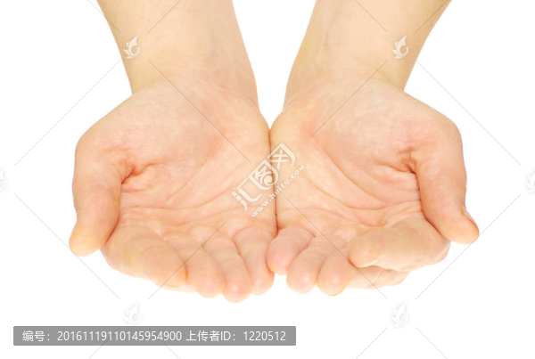 手-匯圖網(wǎng) www.fosd68.com 手