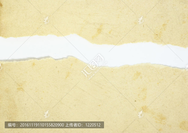 紙的碎片