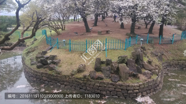 湖花園色彩靜浪漫和諧生態(tài)環(huán)境麗