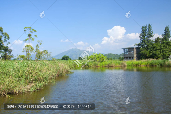 香港濕地公園