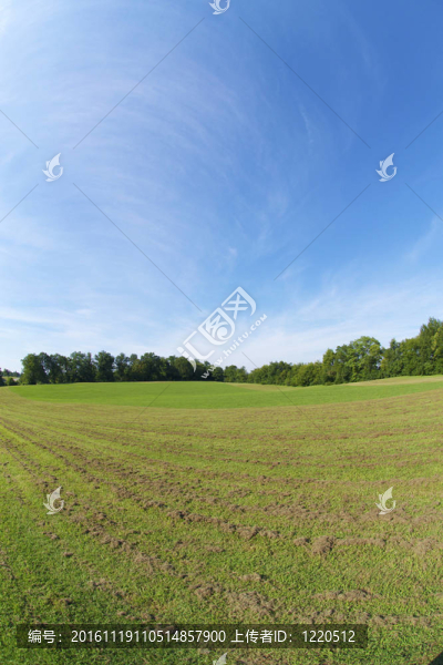美麗的公園風(fēng)景