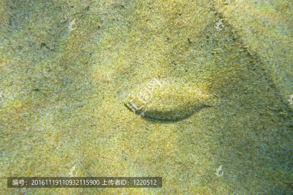 水下