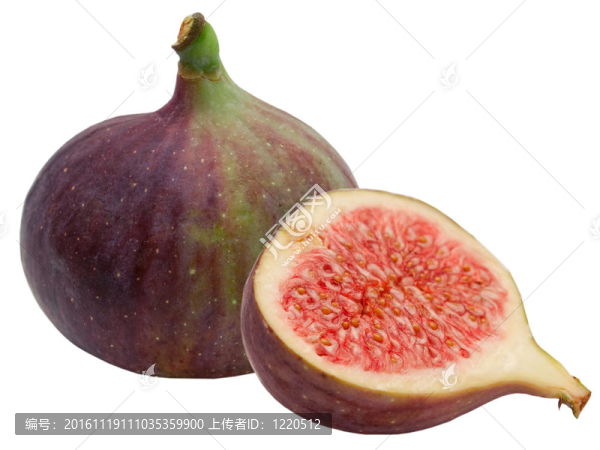 新鮮的無花果