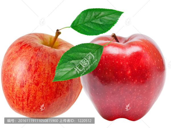 紅蘋果