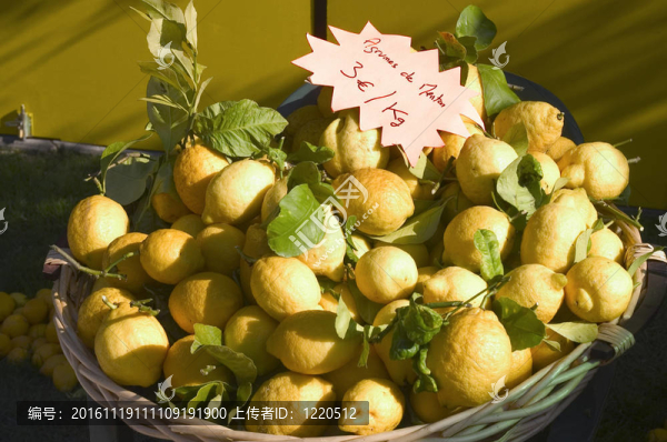 檸檬芒通2011慶祝