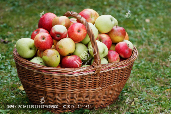 蘋果在籃子里