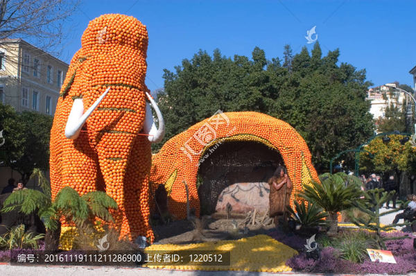 檸檬芒通2011慶祝