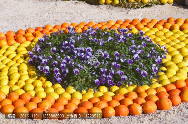 檸檬芒通2011慶祝