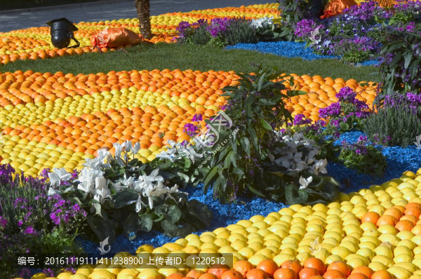 檸檬芒通2011慶祝