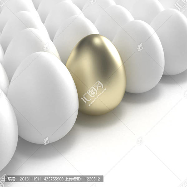 正常白蛋中的金蛋