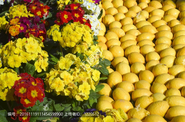 檸檬芒通2011慶祝
