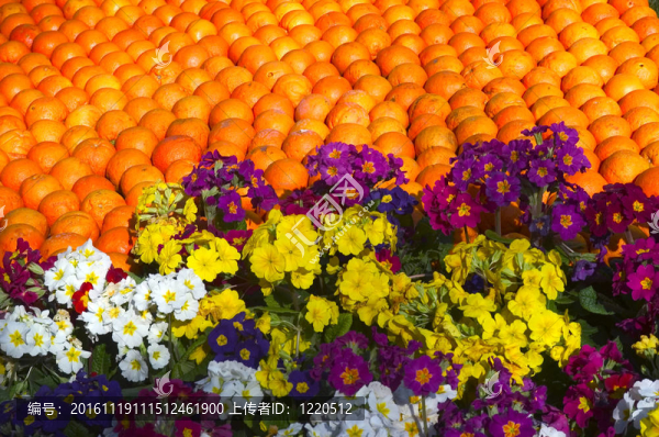 檸檬芒通2011慶祝