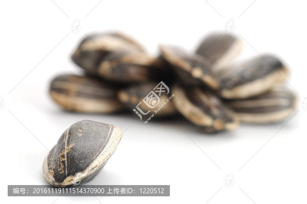 葵花籽