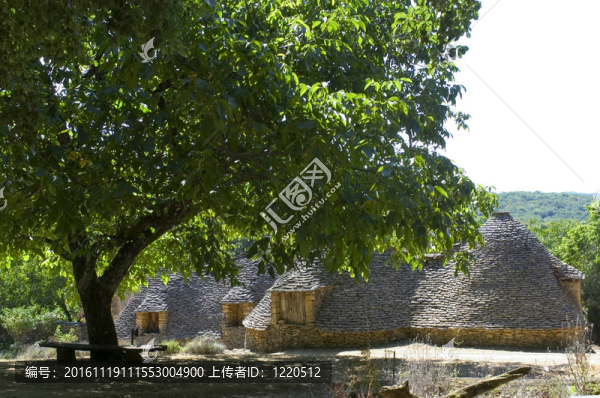 主要的布魯威爾