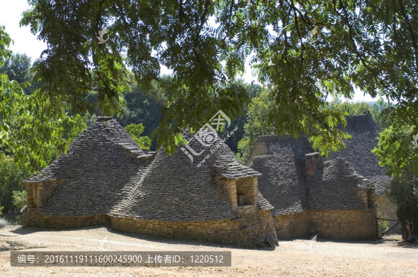 主要的布魯威爾