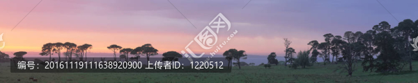 日出全景