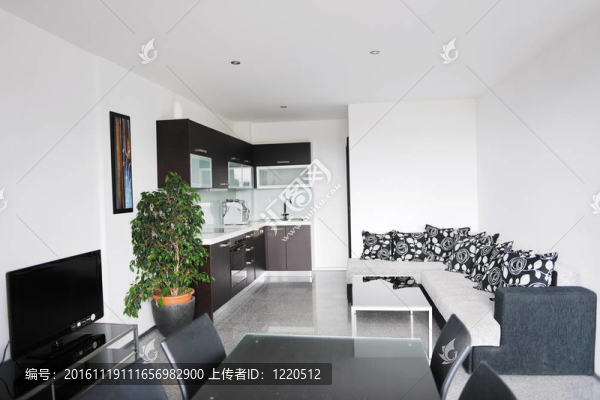 現(xiàn)代客廳室內(nèi)